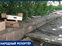Жители Ставрополя призывают прокуратуру обратить внимание на стихийные рынки