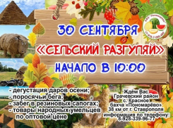 Поросячьи бега, поедание арбузов наперегонки и многое другое ждет гостей бахчи Пономаревых в последний день сентября