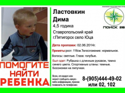 По факту пропажи ребенка на Ставрополье возбудили уголовное дело
