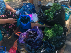 Более 2,3 миллиона рублей штрафов получили торговцы на стихийных рынках в Ставрополе 