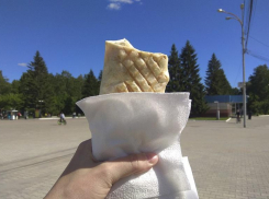 Жители Ставрополя составили список мест, где продают лучшую шаурму