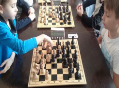 Краевой чемпионат по шахматам выиграл восьмилетний ставрополец