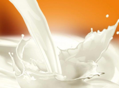 Депутаты в недоумении от роста цен на молоко на Ставрополье