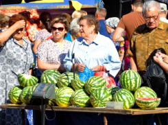 В субботу в Ставрополе пройдут сразу две ярмарки выходного дня