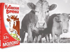В Ставрополе в молоке «Кубанской Буренки» обнаружили превышенное содержание антибиотиков