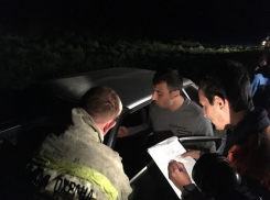 13 человек испытали шок при ночном столкновении с коровами на Ставрополье