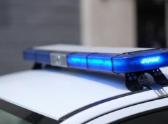 Почти половина обращений в следком России за 10 ноября пришлась на Ставрополье