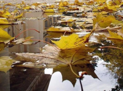 На 1 сентября Ставрополье ожидают дожди с грозами