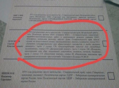 Два самовыдвиженца прошли в Думу Ставрополья