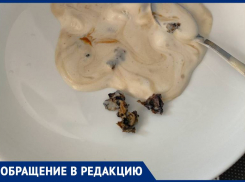 Кору вместо сгущенки обнаружила в мороженом жительница Ставрополя