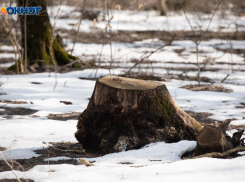 Еще 3 дня заморозков ожидаются на Ставрополье