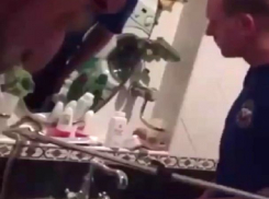 Змея заползла на умывальник в доме у жителей на Ставрополье