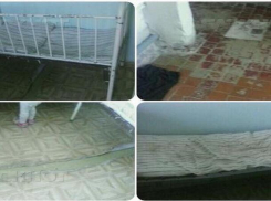 Заместитель главврача Кочубеевской районной больницы уволен за разрушающиеся палаты детского отделения