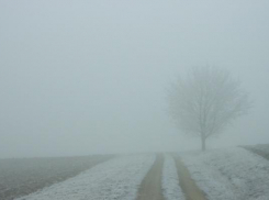 Туман в сочетании с гололедицей ожидаются в пятницу на Ставрополье