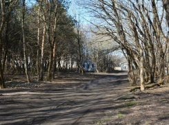 В Таманском лесу Ставрополя убрали незаконные гаражи