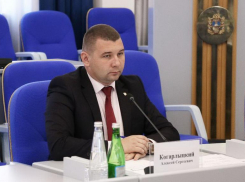 Гособвинитель запросил два года строгого режима для экс-главы минстроя Ставрополья Когарлыцкого
