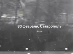 Зима в апреле: выпавший в Ставрополе снег попал на видео 