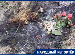 Не по-христиански: в преддверии Пасхи на кладбище Ставрополья устроили свалку