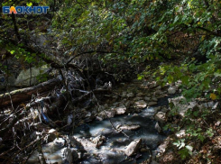 Ставрополь вошел в топ российских городов с наилучшим состоянием экологической среды