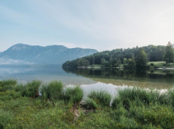 Базу отдыха «для своих» снесут по решению суда на Сенгилеевском водохранилище 
