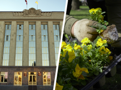 Сотни тысяч на озеленение: правительство Ставрополья приводит главные резиденции края в порядок после зимы