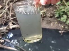 Вмешательство прокуратуры не спасло реку в Татарском городище от ядовитых стоков