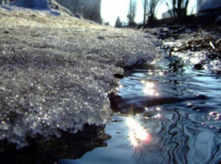 До +12 и солнечно — погода порадует ставропольчан в эту среду