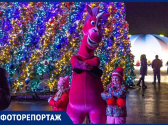 В Ставрополе весело и ярко отметили Старый Новый год