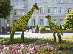 Теплый и солнечный вторник ждет жителей Ставрополя 