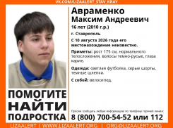 Исчезнувшего 16-летнего подростка ищут в Ставрополе