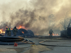 «Пепел летит аж на дорогу»: пожар на 5 гектаров окутал въезд в Ставрополь —  видео