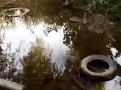 Захламленным руслом реки Мутнянка на Ставрополье займутся чиновники после публикации «Блокнота»