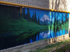 В Ставрополе дома многоэтажек украсили пейзажами