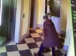 Видео весёлой «кражи» фикуса Бенджамина появилось в Интернете