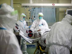 На Ставрополье еще 79 человек заболели коронавирусом