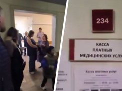 «Платишь и еще ждешь 5 часов»: огромные очереди сняли у кассы поликлиники в Кисловодске