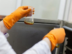 Опасные канцерогены в почве нашли специалисты на Ставрополье