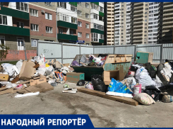 «Как только, так сразу»: управляющая компания отказывается убирать территорию рядом с домом