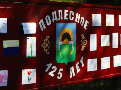 Избирком Ставрополья снял с выборов малолетнего кандидата