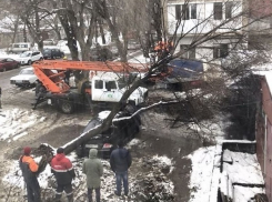 Огромное дерево упало на припаркованную во дворе иномарку в Пятигорске
