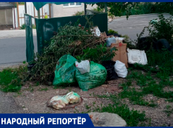 Гора мусора в районе цирка в Ставрополе возмутила горожан