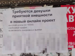 ​​Странные объявления появились в Ставрополе: приятные девушки за 1000 долларов
