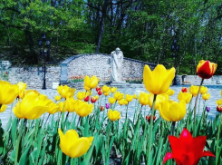 Количество туристов в Железноводске увеличилось на 61%