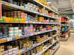 Жители Ставрополья потратили почти 38 миллиардов рублей на еду за январь