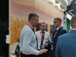 Строительство очередного ветропарка запланировано на Ставрополье к 2025 году 