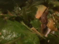 Салат с сюрпризом шокировал посетителей ресторана Ставрополя