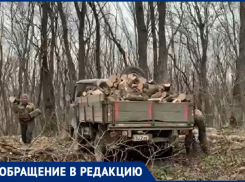 Жители Ставрополя жалуются на массовую вырубку здоровых деревьев 
