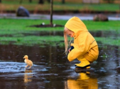 Дожди и облачность уберегут Ставрополье от невыносимой жары в ближайшие дни