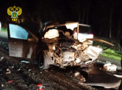 Погибли трое, в том числе ребенок: жесткое ДТП в Александровском округе 