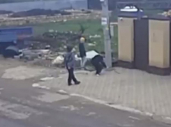 Появилось начало видео с нападением питбуля на ребенка в Ставрополе